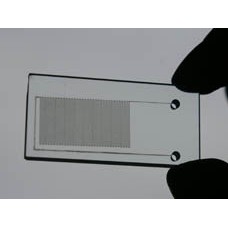 Microfluids chip